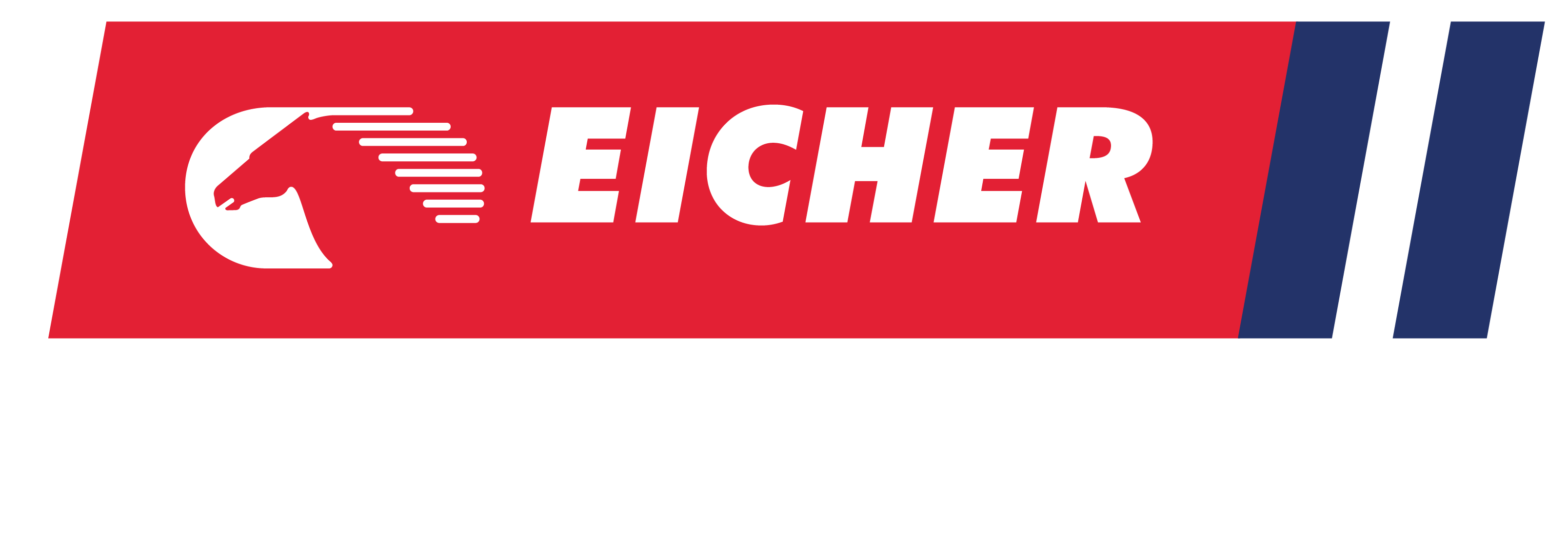 Partnering Prosperity Logo-01